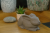 Ceramiczna urna dla zwierząt królik szary mat