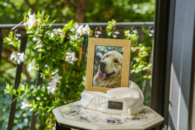 Ceramiczna urna dla zwierząt w kształcie artystycznej podstawy pod zdjęcie biały mat