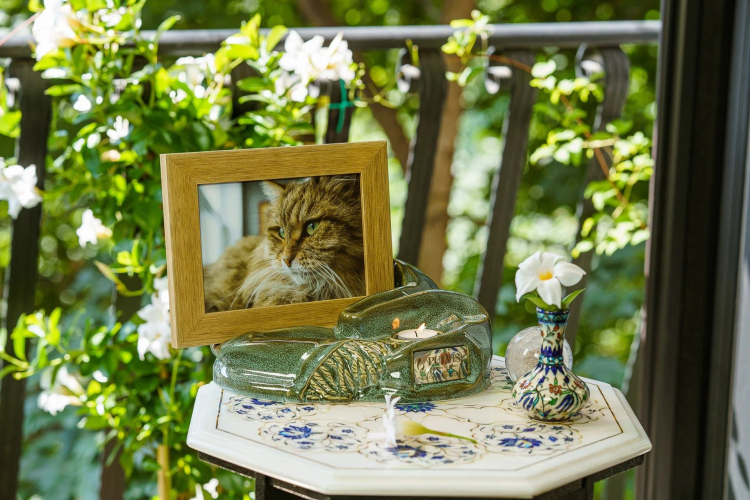 Ceramiczna urna dla zwierząt w kształcie artystycznej podstawy pod zdjęcie oliwkowo beżowa połysk.png